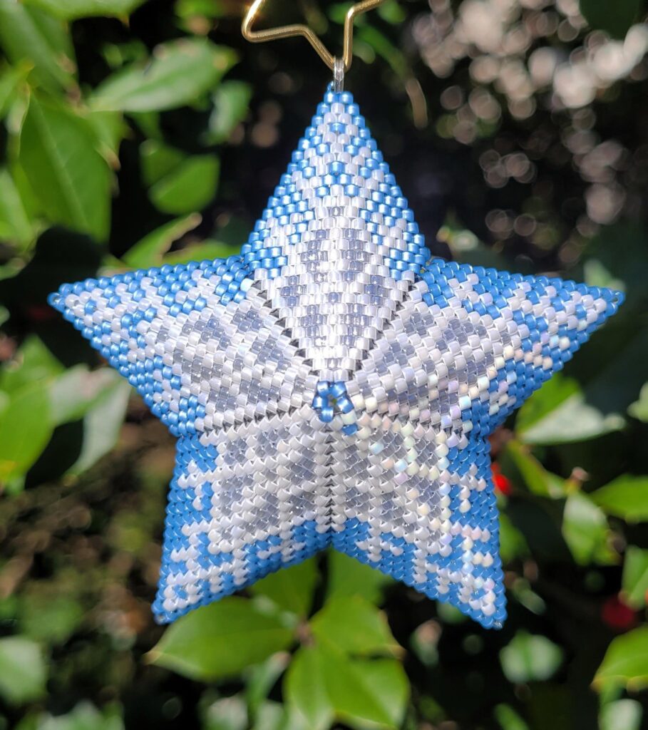 Frosty Window Star