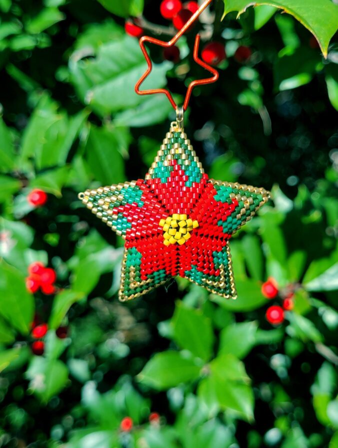 Little Poinsettia Star